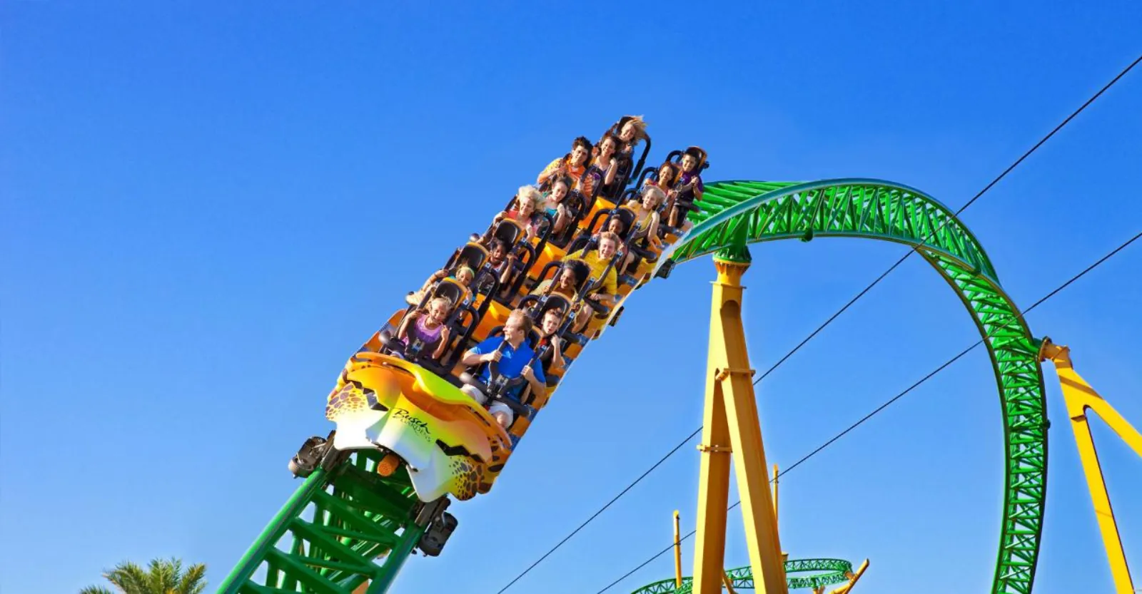 Cheetah-print Cheetah Hunt train full of riders cresting a green coaster track against a blue sky