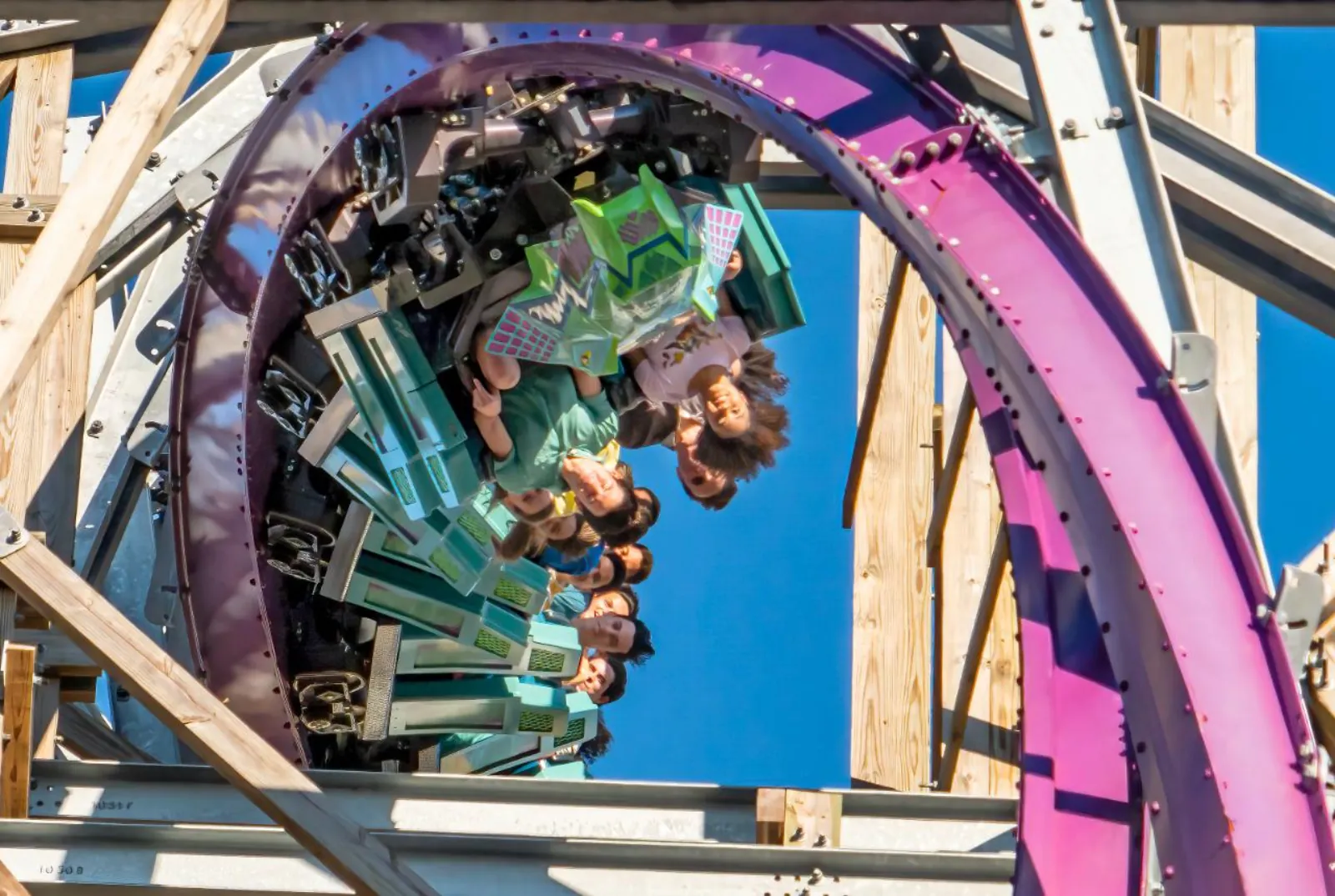 Riders hanging upside down in an inversion on Iron Gwazi's purple track inside its wooden supports