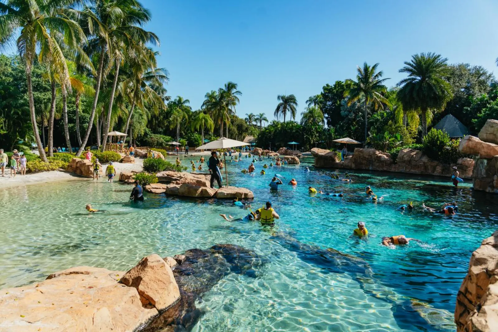 Guests in snorkel vests swimming in a palm-lined turquoise lagoon with rocky edges