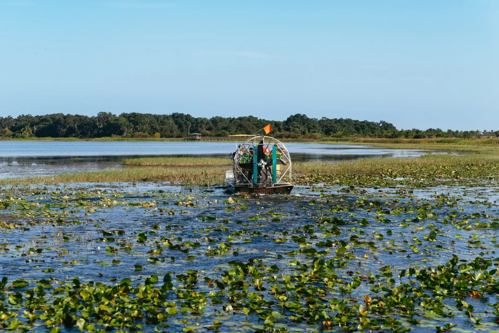 Airboat heading away across a lily-pad covered lake toward a line of trees