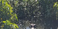 Guest photo from review