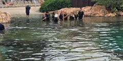 Guest photo from review
