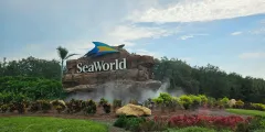 Guest photo from review