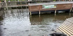 Guest photo from review
