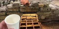 Guest photo from review