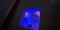 Guest photo from review