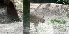 Guest photo from review